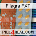 Filagra FXT 43